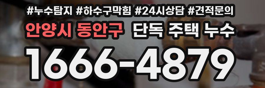 안양시 동안구 단독 주택 누수