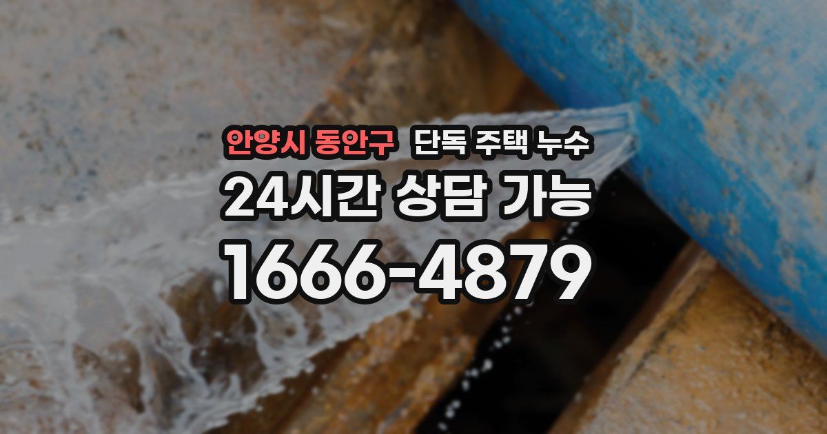 안양시 동안구 단독 주택 누수