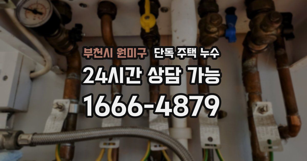 부천시 원미구 단독 주택 누수