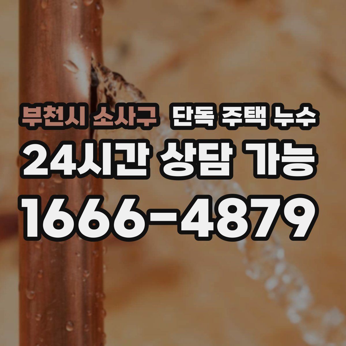 부천시 소사구 단독 주택 누수 물자국이 줄처럼 흐를 때 원인 추정