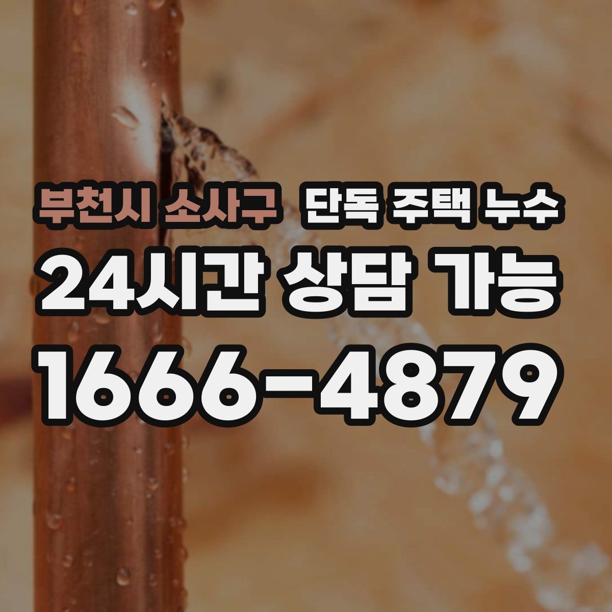 부천시 소사구 단독 주택 누수