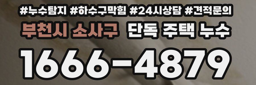 부천시 소사구 단독 주택 누수