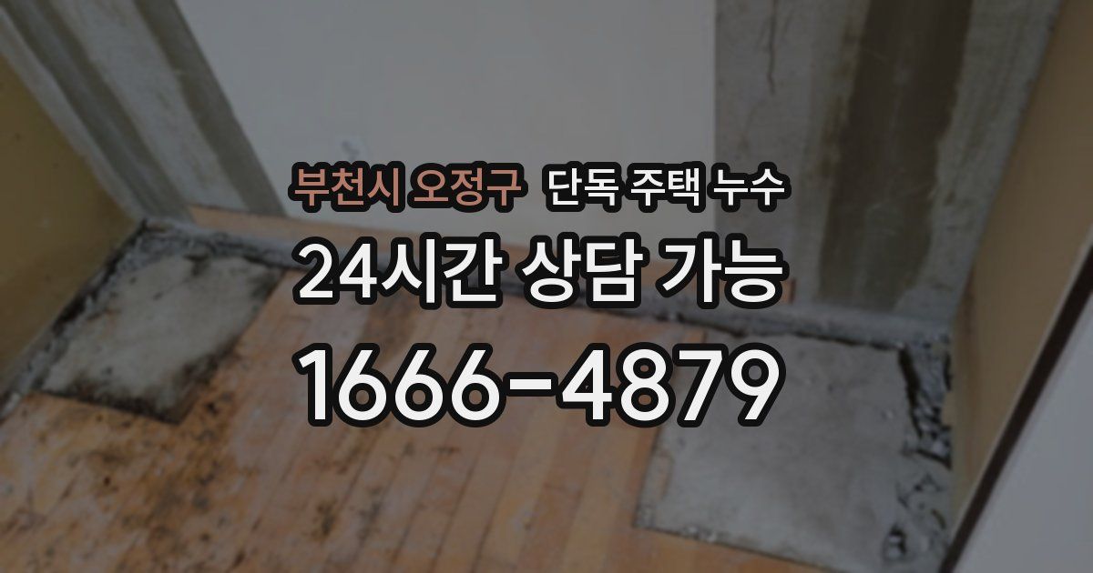 부천시 오정구 단독 주택 누수