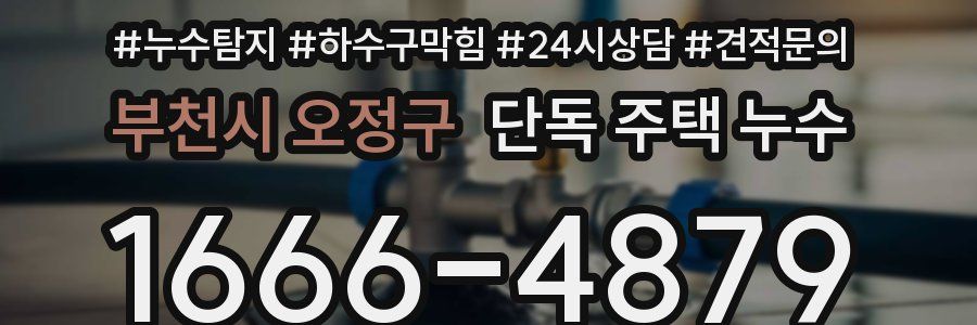 부천시 오정구 단독 주택 누수