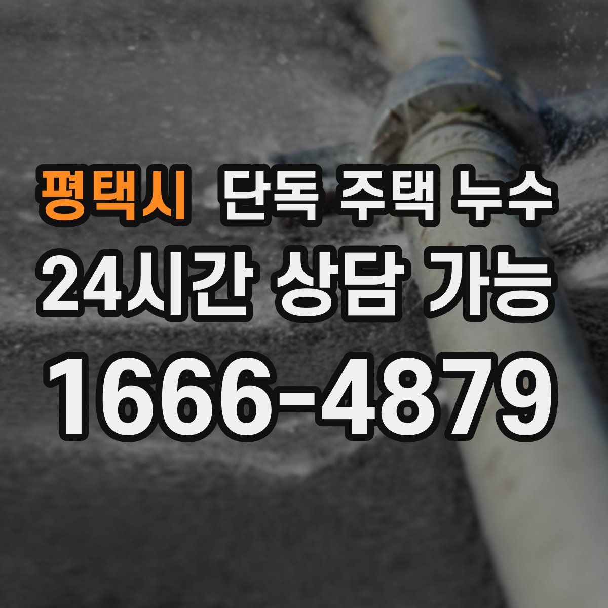 평택시 단독 주택 누수