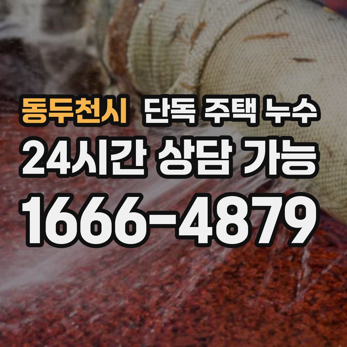 동두천시 단독 주택 누수