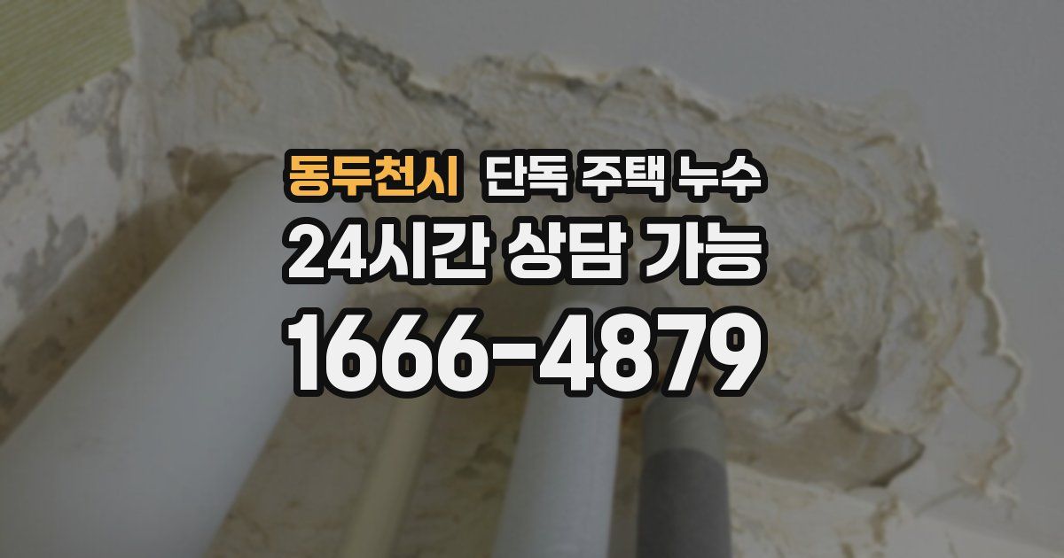 동두천시 단독 주택 누수