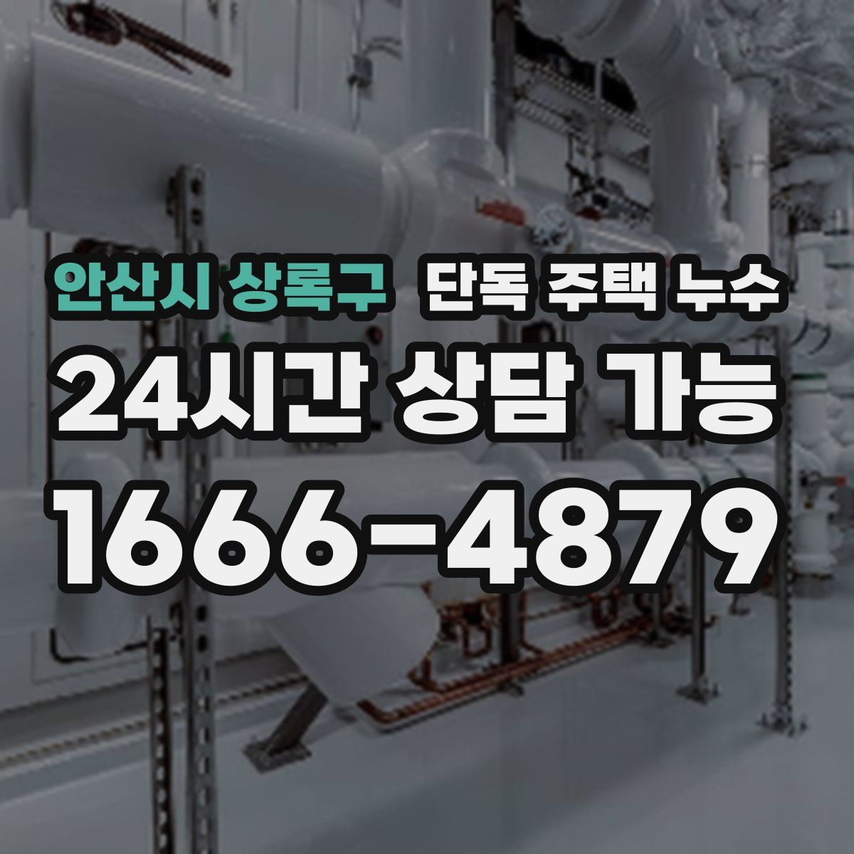 안산시 상록구 단독 주택 누수