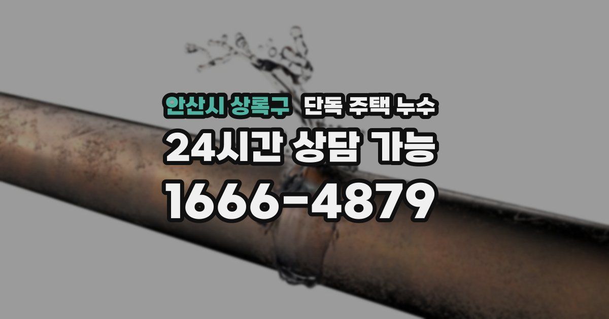 안산시 상록구 단독 주택 누수