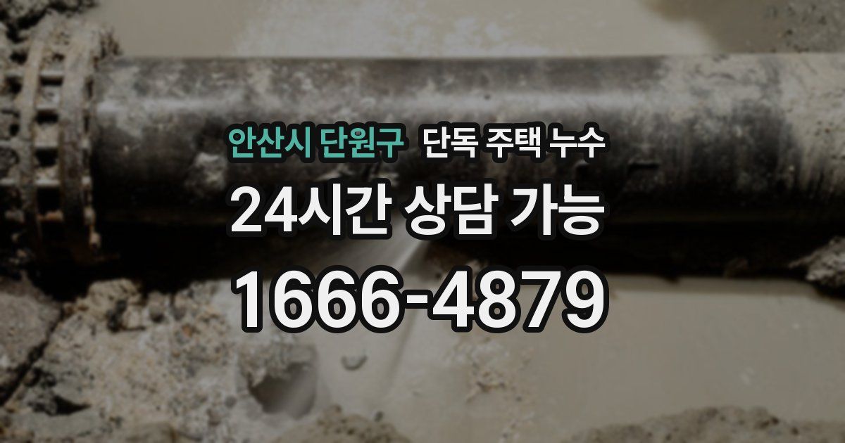 안산시 단원구 단독 주택 누수