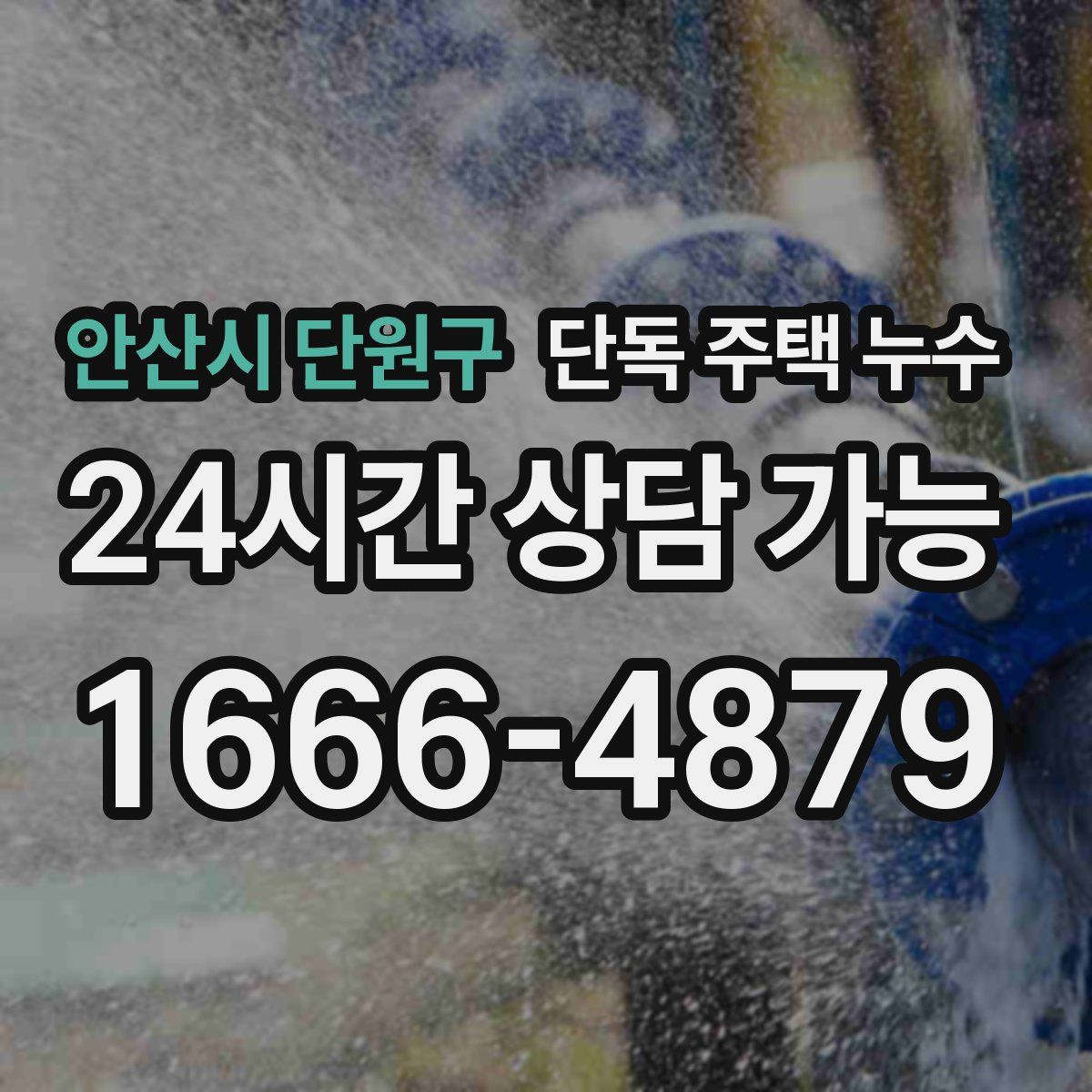 안산시 단원구 단독 주택 누수