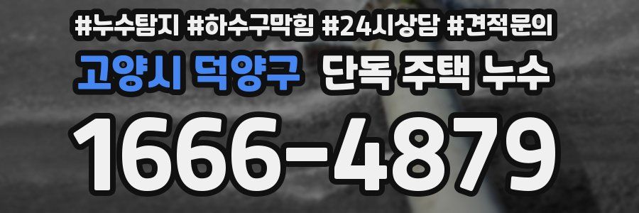 고양시 덕양구 단독 주택 누수