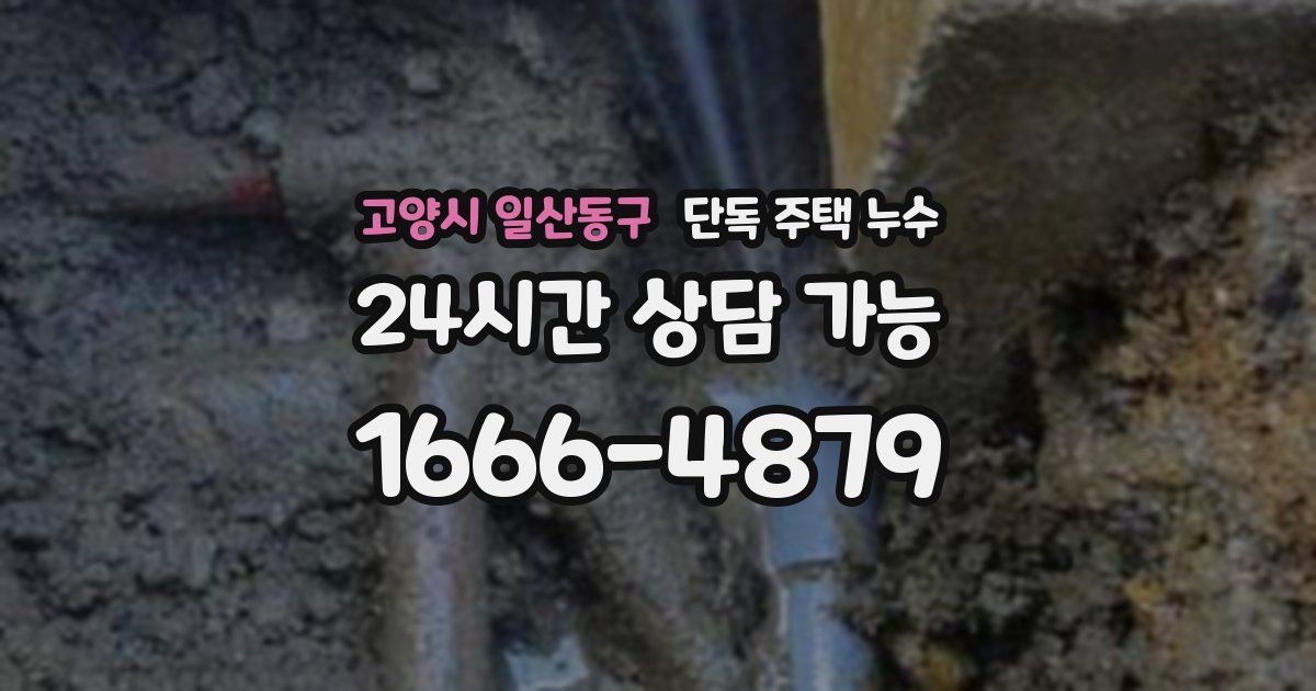 고양시 일산동구 단독 주택 누수