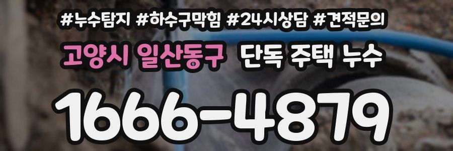 고양시 일산동구 단독 주택 누수