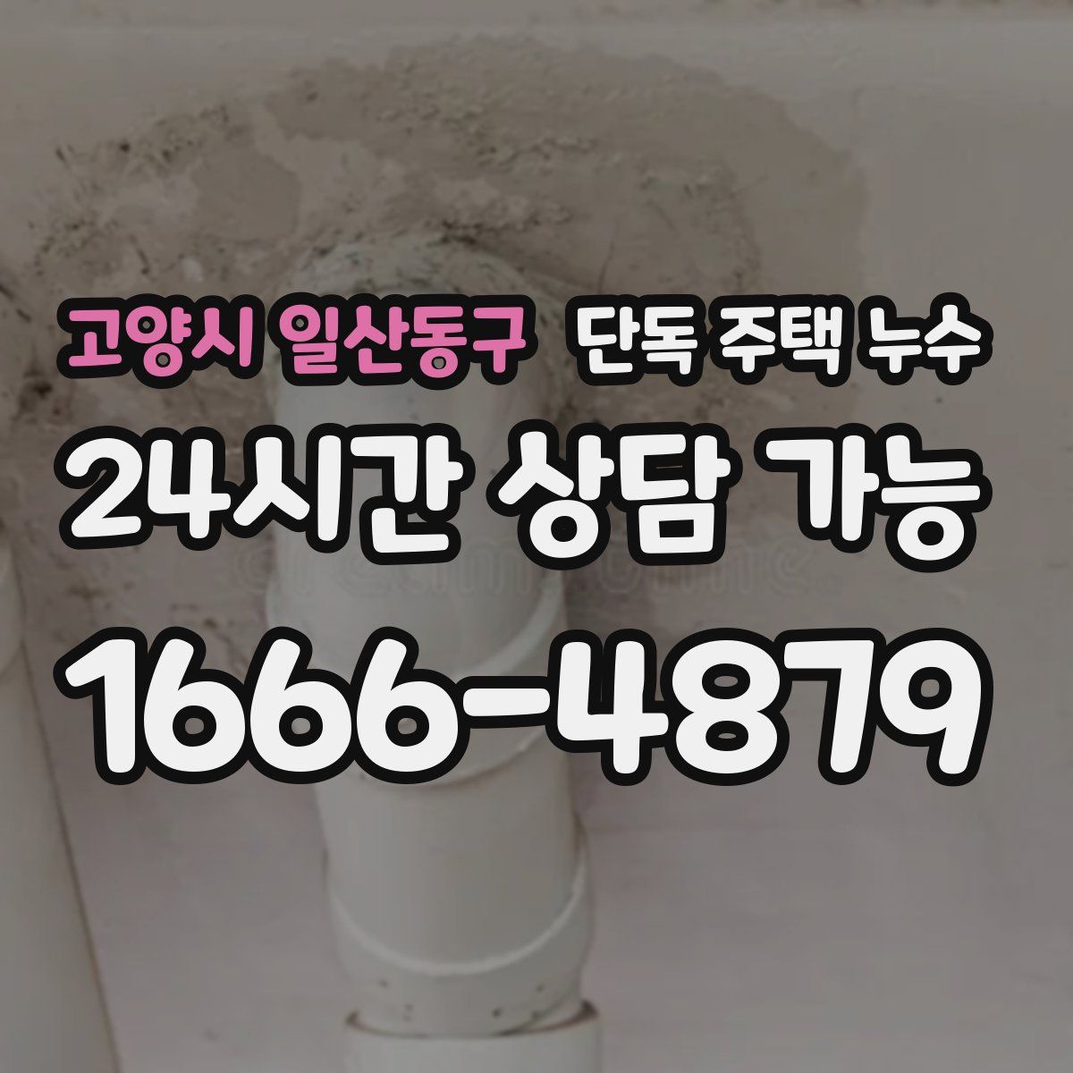 고양시 일산동구 단독 주택 누수