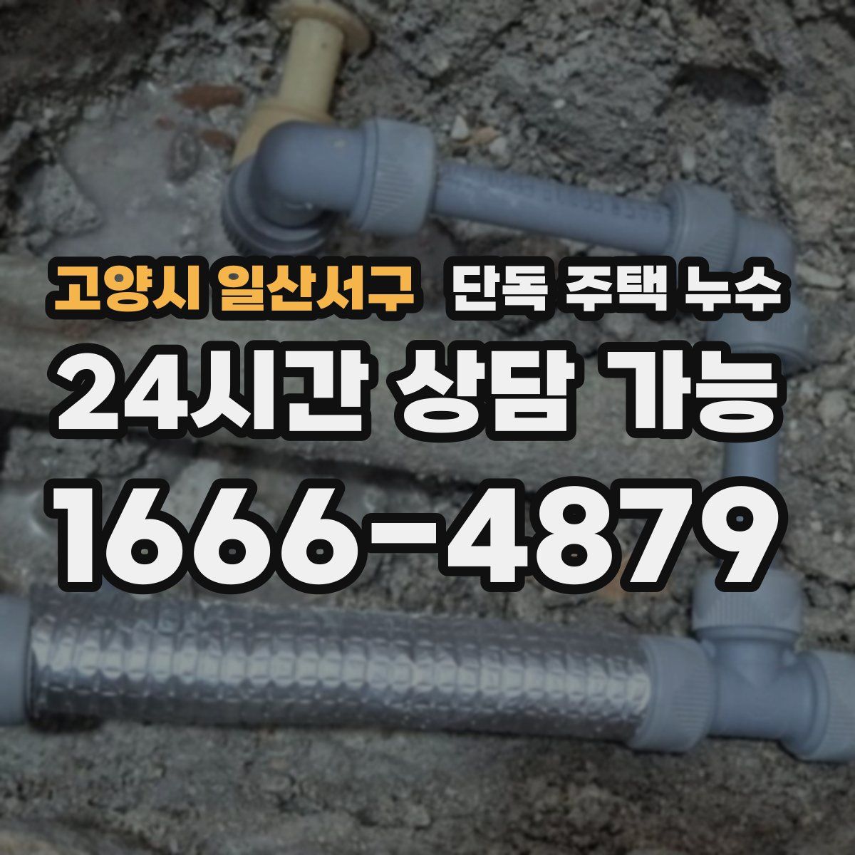 고양시 일산서구 단독 주택 누수