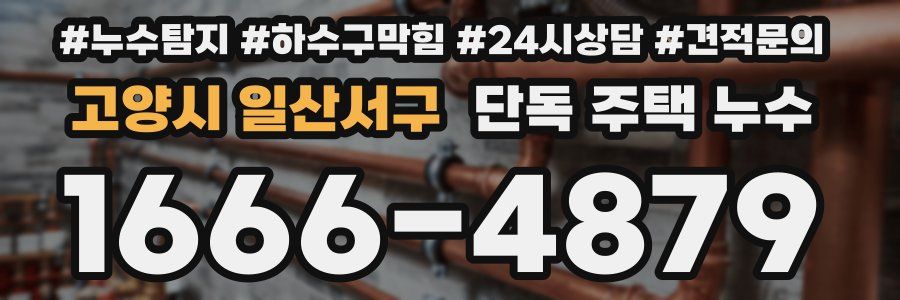 고양시 일산서구 단독 주택 누수