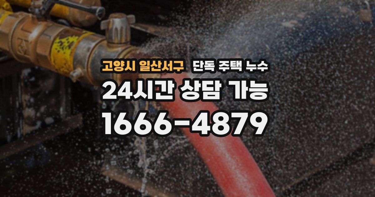 고양시 일산서구 단독 주택 누수