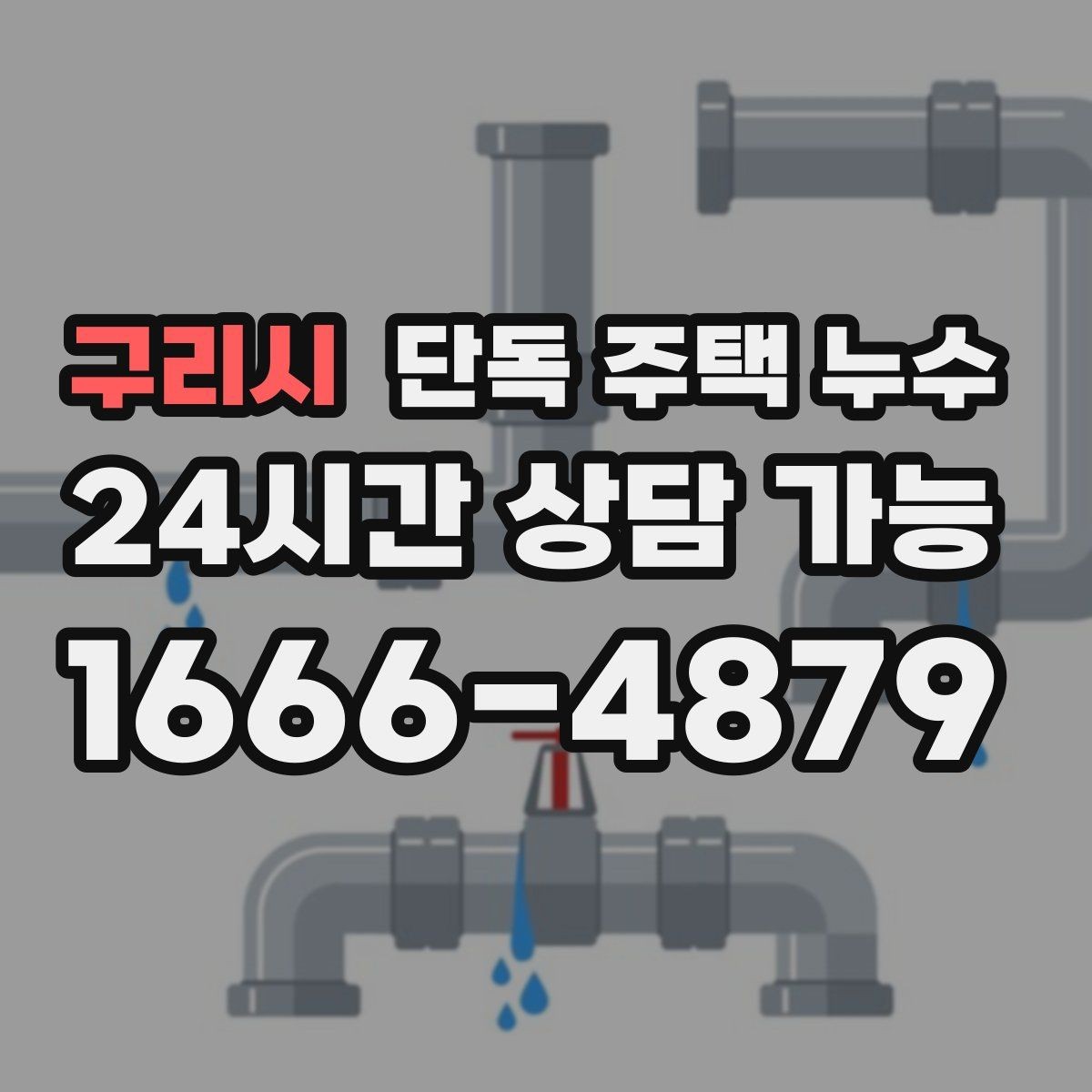 구리시 단독 주택 누수 담장 쪽 물고임이 벽으로 스며드는 경우