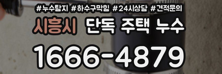 시흥시 단독 주택 누수