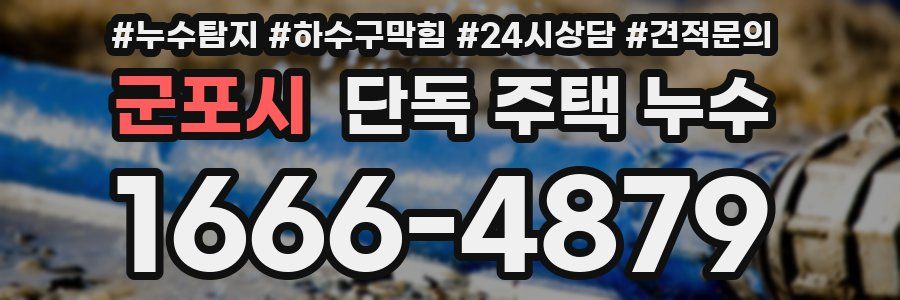 군포시 단독 주택 누수