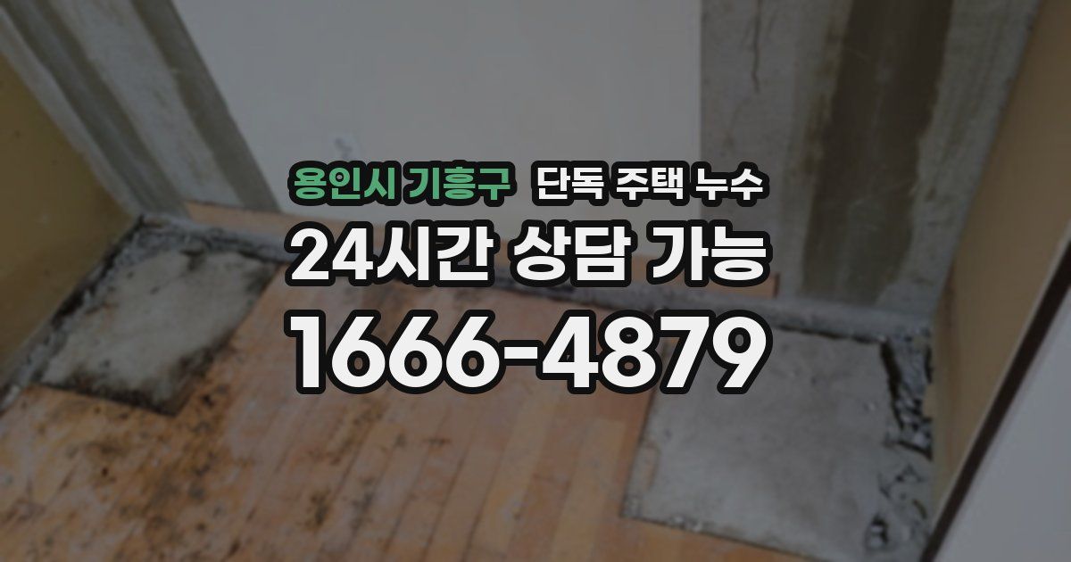 용인시 기흥구 단독 주택 누수