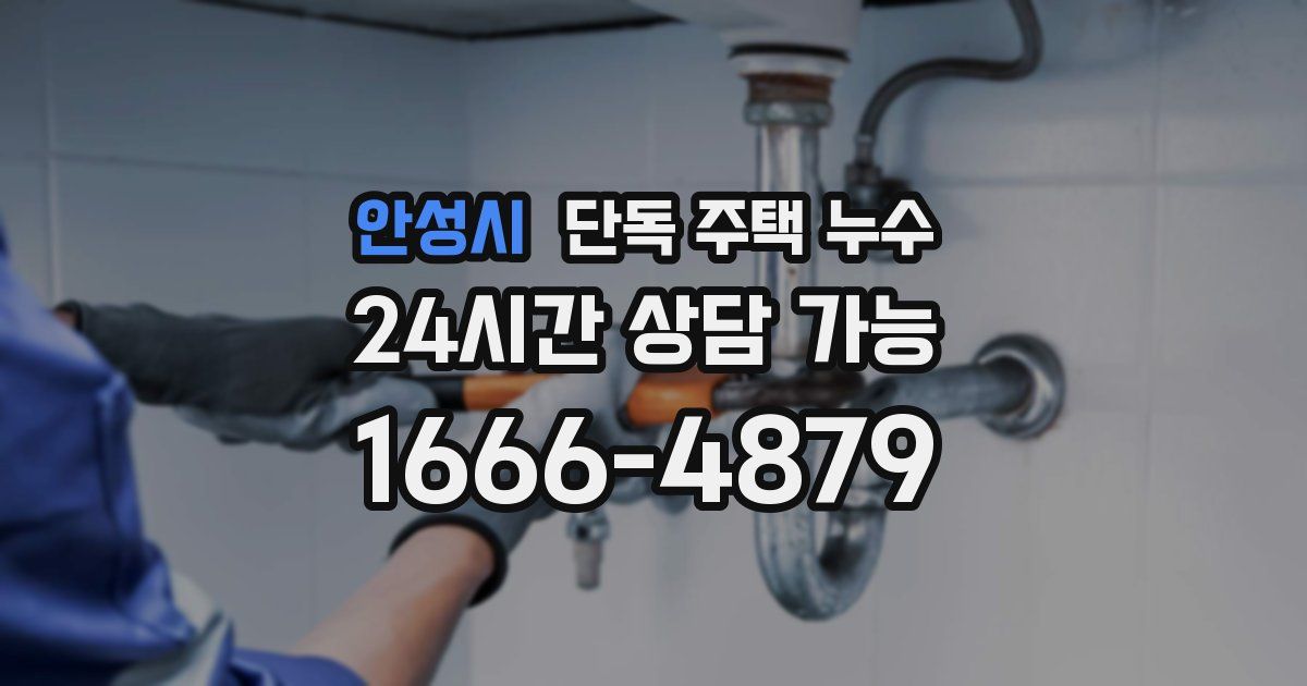 안성시 단독 주택 누수