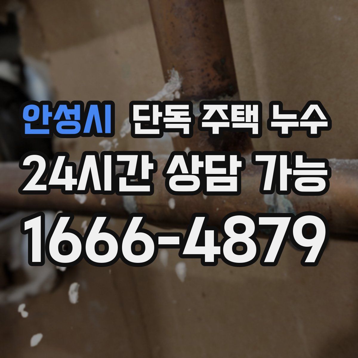 안성시 단독 주택 누수