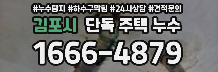 김포시 단독 주택 누수