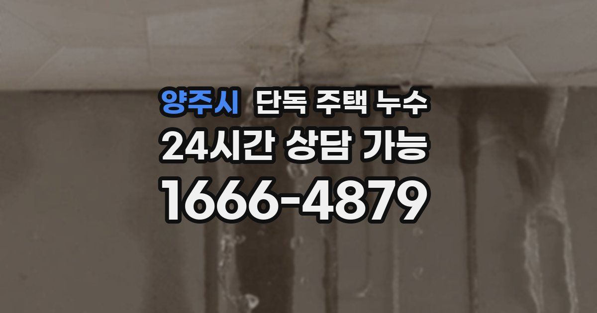 양주시 단독 주택 누수