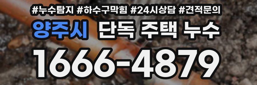 양주시 단독 주택 누수