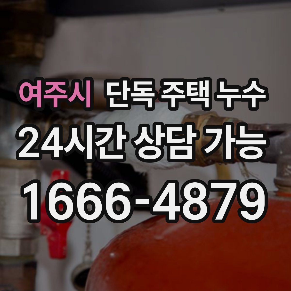 여주시 단독 주택 누수 낙엽으로 홈통이 막히면 생기는 문제