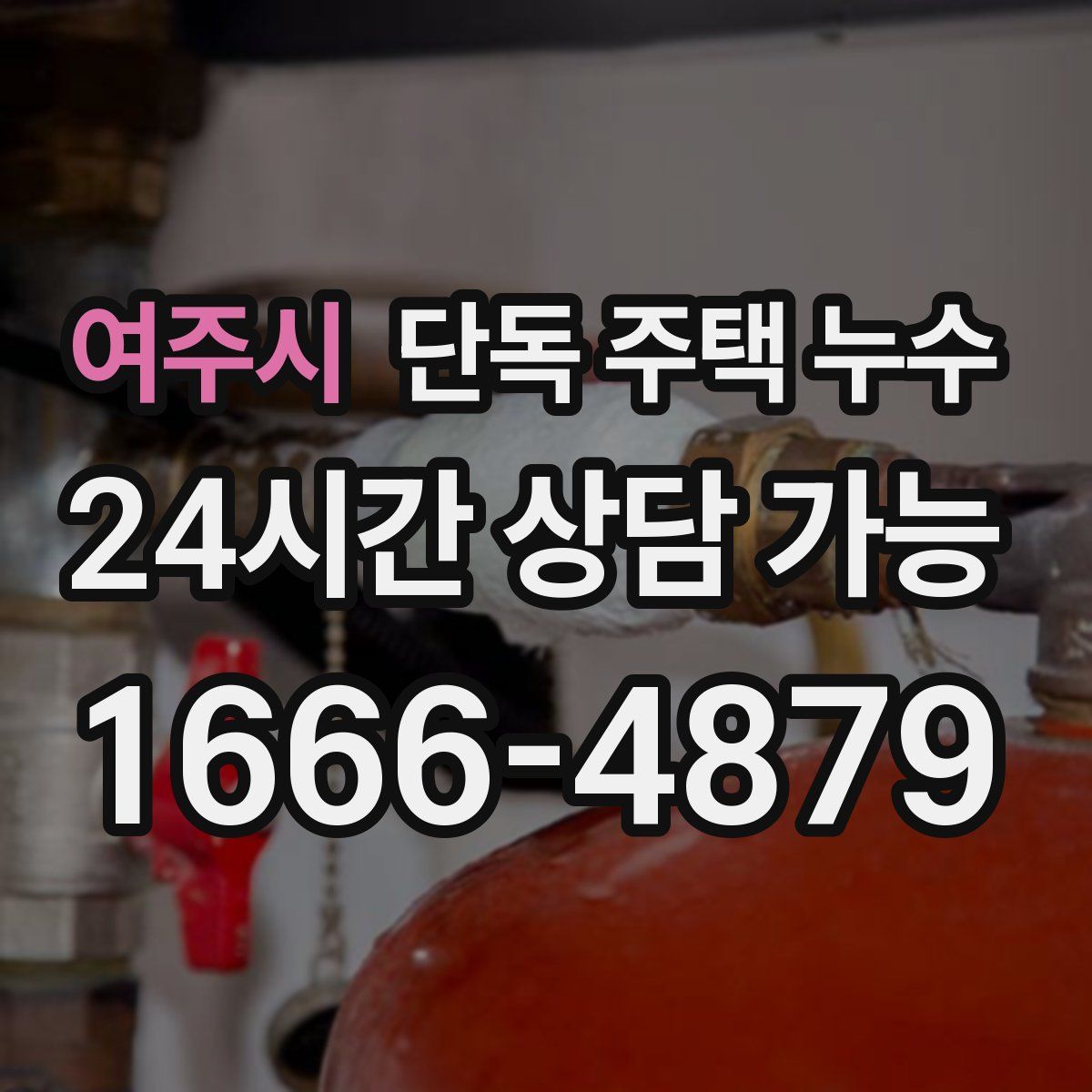 여주시 단독 주택 누수