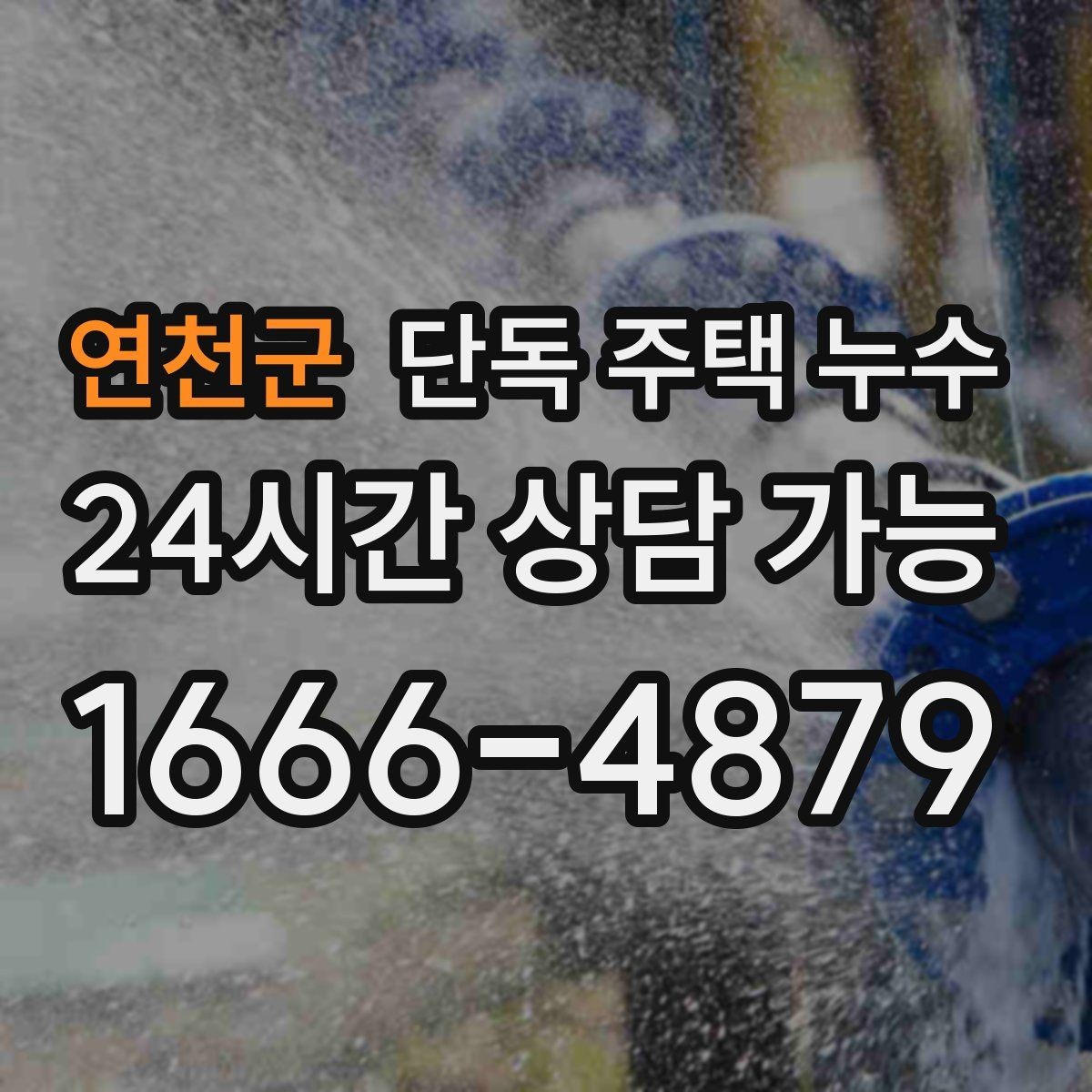 연천군 단독 주택 누수 샤워부스 하부에서 물이 스며들 때