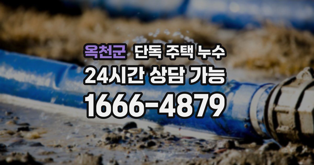 옥천군 단독 주택 누수