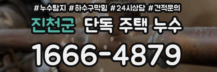 진천군 단독 주택 누수