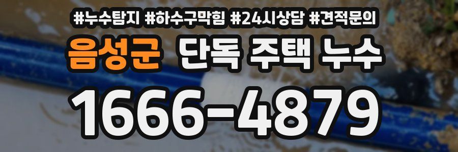음성군 단독 주택 누수