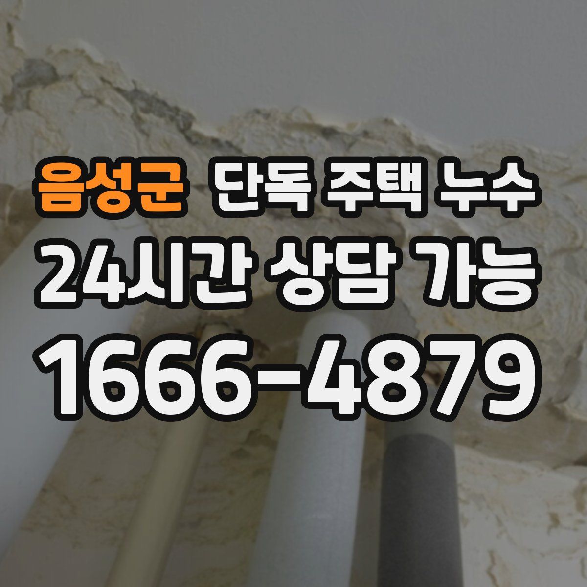 음성군 단독 주택 누수