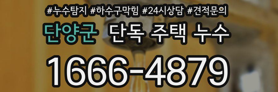 단양군 단독 주택 누수