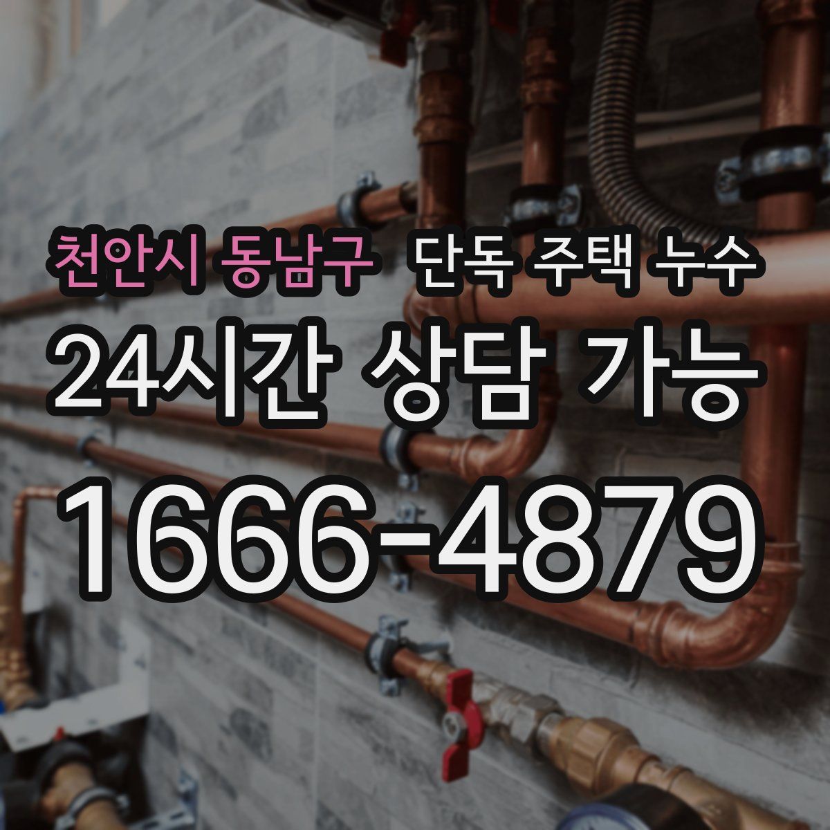 천안시 동남구 단독 주택 누수