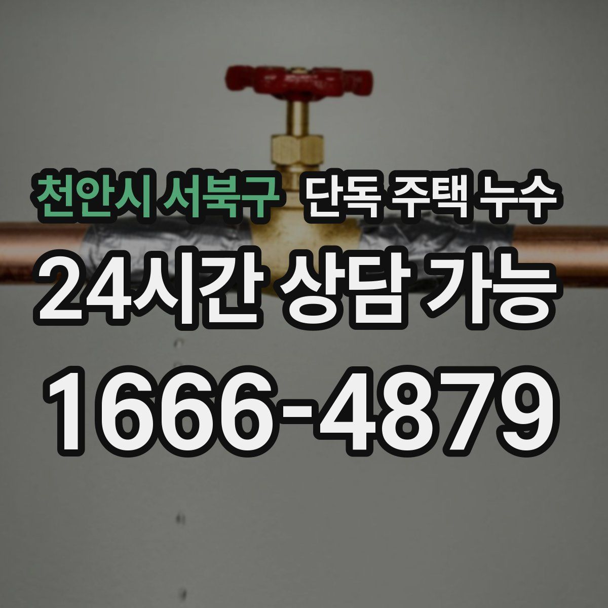 천안시 서북구 단독 주택 누수