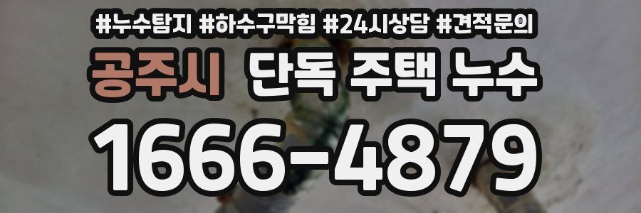 공주시 단독 주택 누수