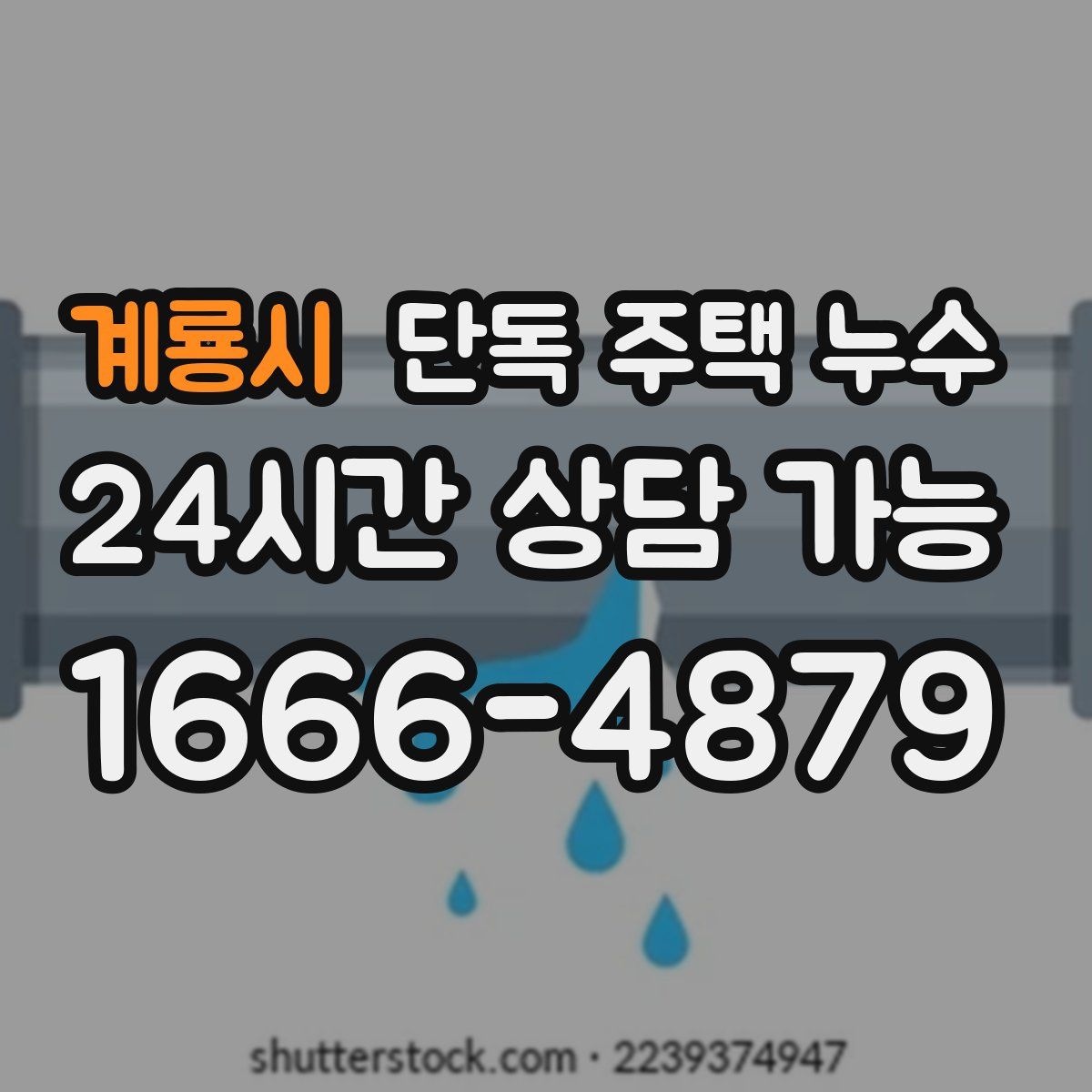 계룡시 단독 주택 누수