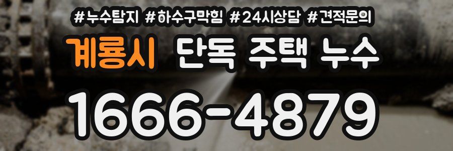 계룡시 단독 주택 누수