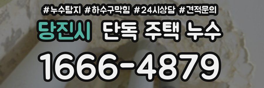 당진시 단독 주택 누수