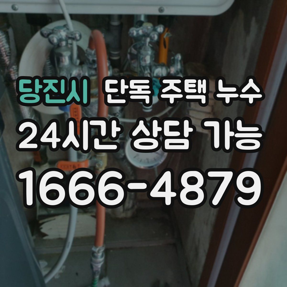 당진시 단독 주택 누수