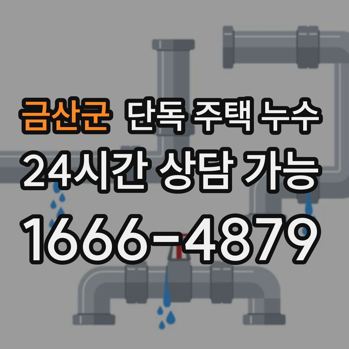 금산군 단독 주택 누수