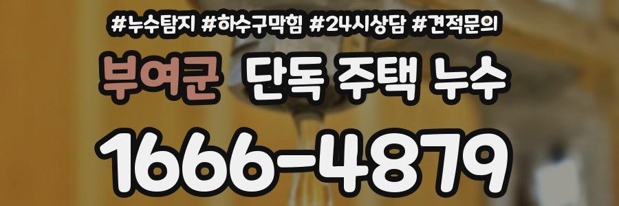 부여군 단독 주택 누수