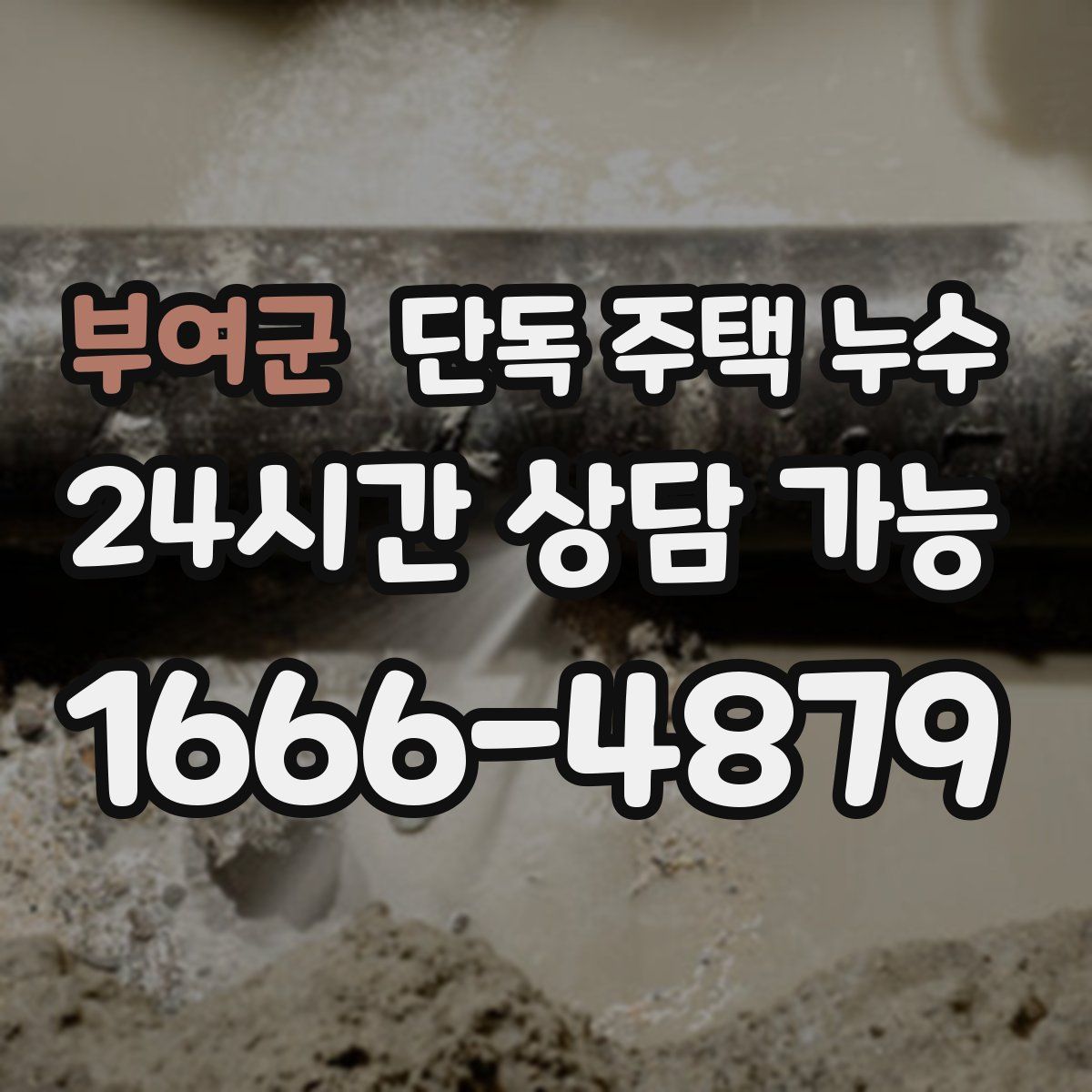 부여군 단독 주택 누수