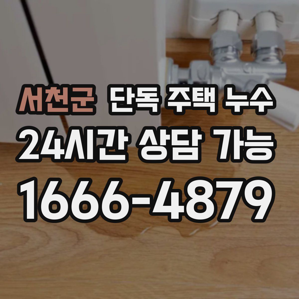 서천군 단독 주택 누수